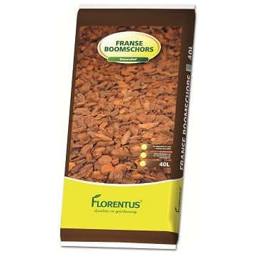 Franse boomschors Excellent Florentus