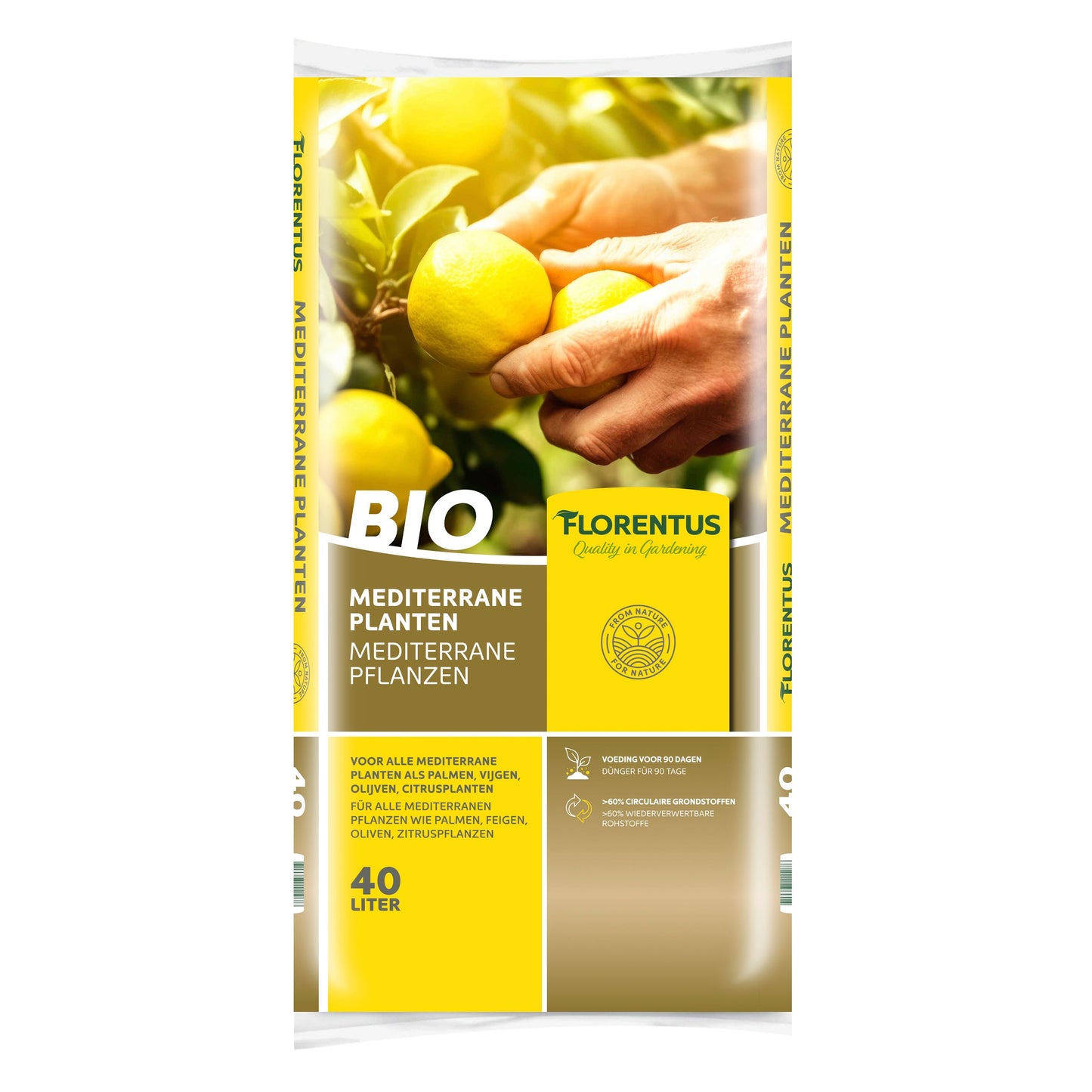 Palmengrond (Trachycarpus fortunei)