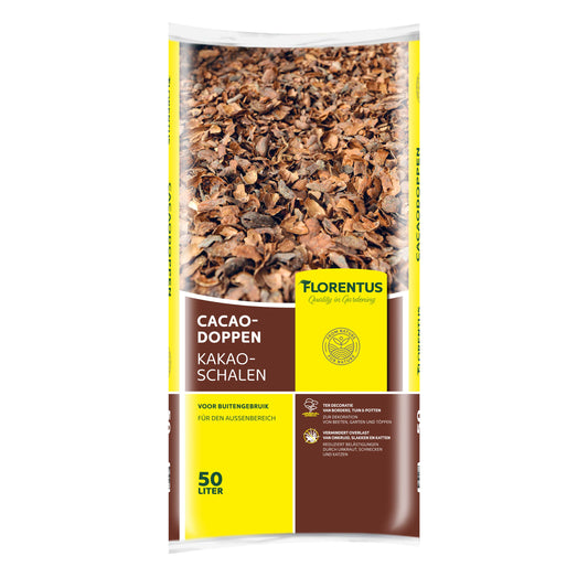 cacaodoppen kopen