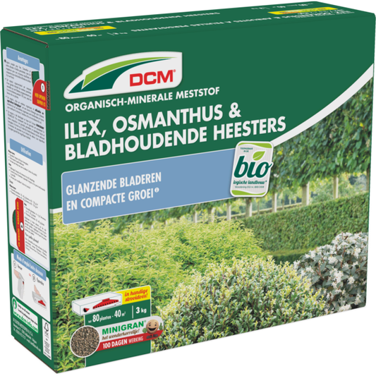 Ilex, Osmanthus & Bladhoudende Heesters (3 kg)